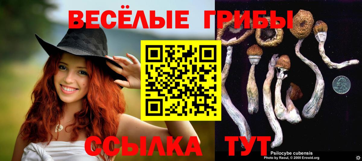 Галлюциногенные грибы ЛСД Родники