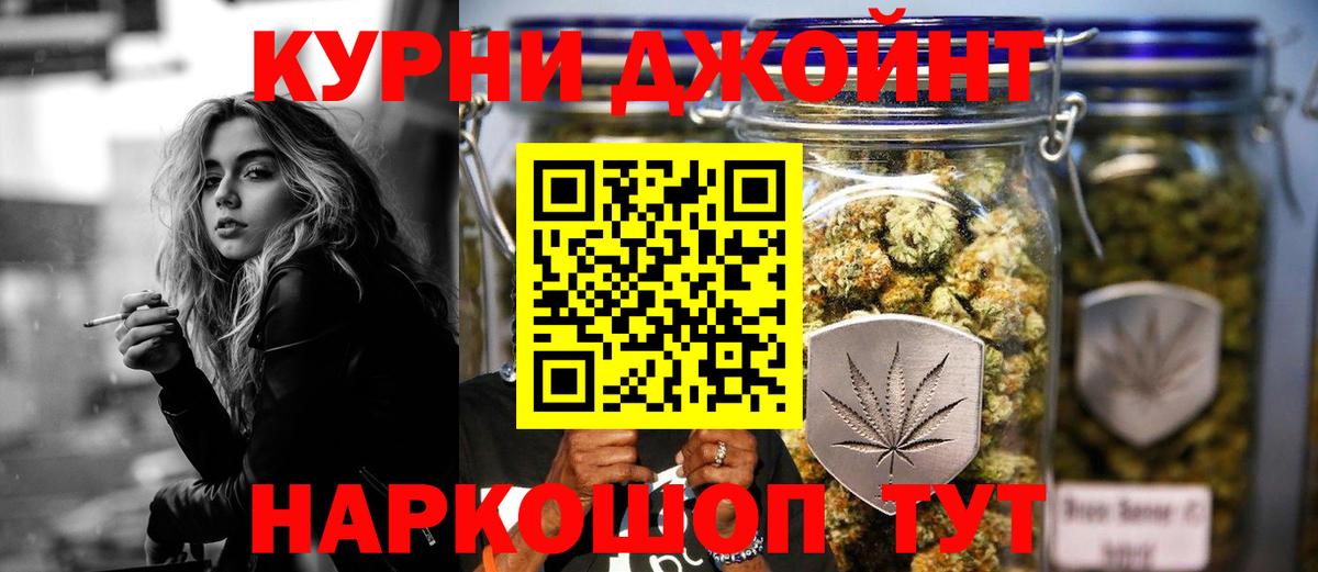 Конопля планчик Родники